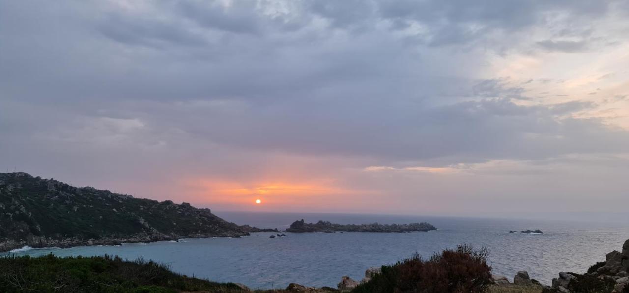 Central Rooms Santa Teresa Gallura Dış mekan fotoğraf